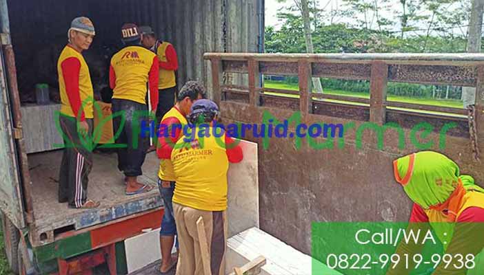 Supplier Marmer Tulungagung